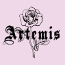 Artemis Accessories