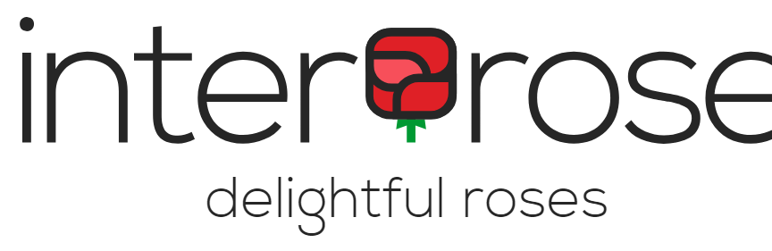 Subscribe to InterRose Newsletter & Get Amazing Discounts